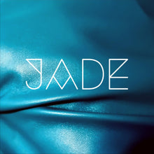 Load image into Gallery viewer, crop top "the it handbag" with metallic front buckle